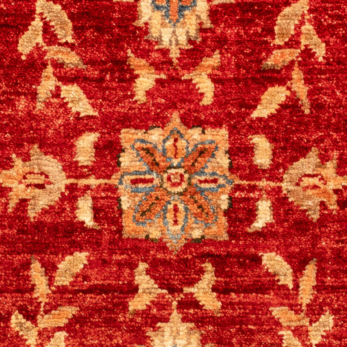 Ziegler Carpet - 68 x 49 cm - rød
