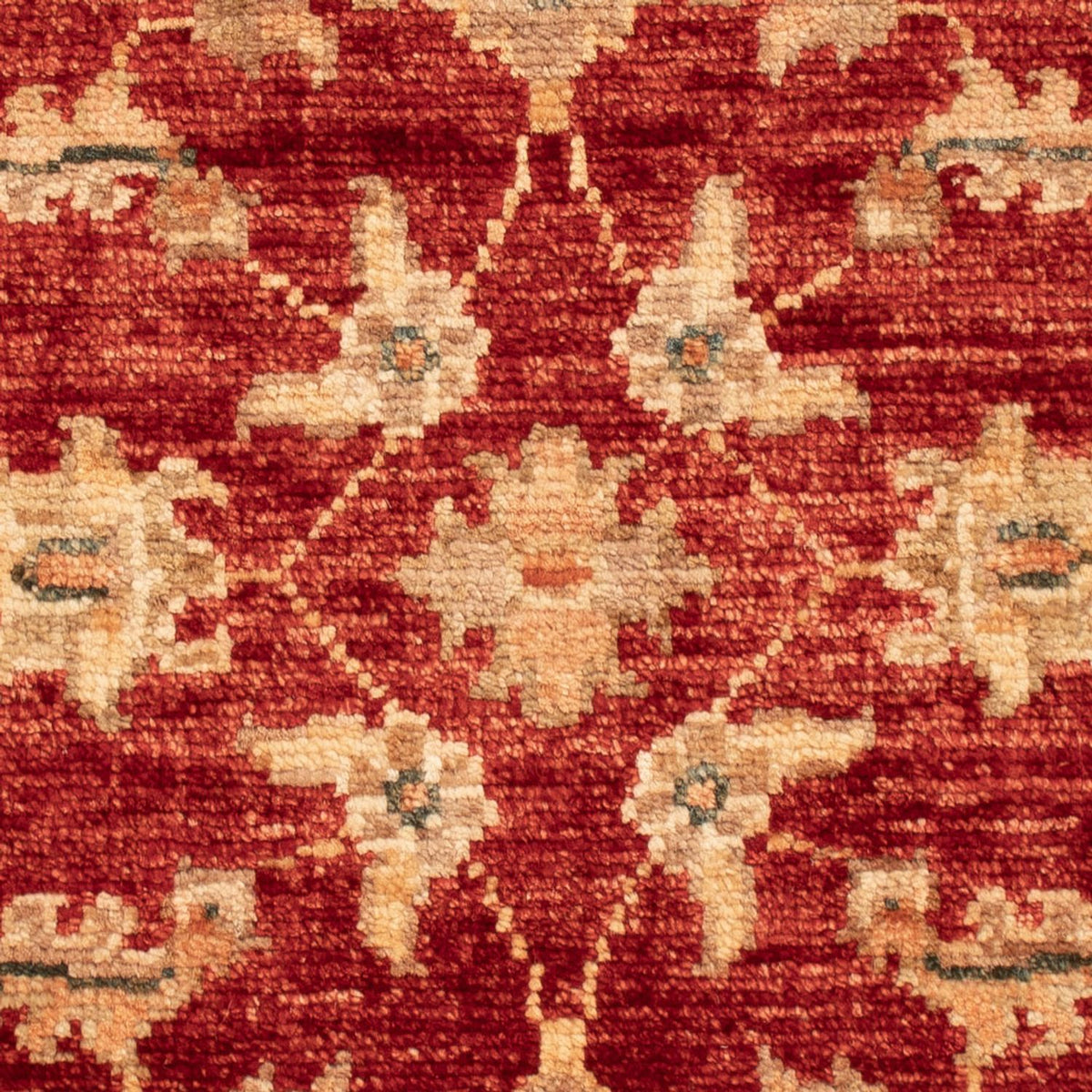 Ziegler Carpet - 67 x 50 cm - rød