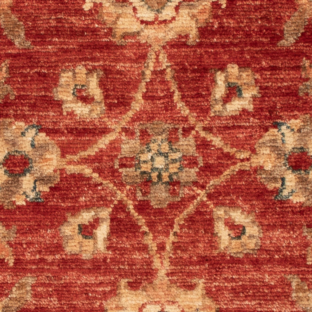 Ziegler Carpet - 70 x 48 cm - rød