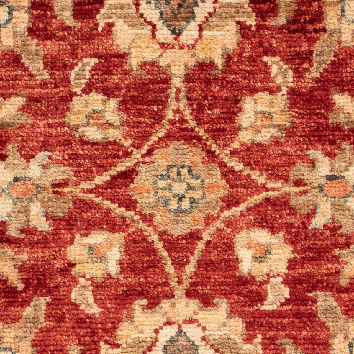 Ziegler Carpet - 72 x 51 cm - rød