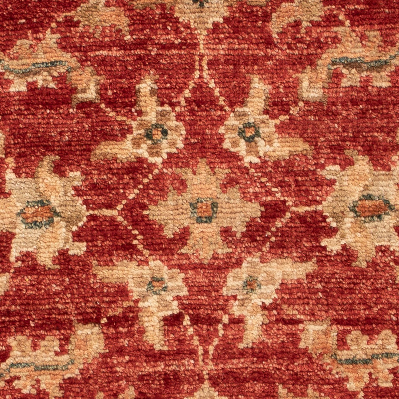 Ziegler Carpet - 67 x 49 cm - rød