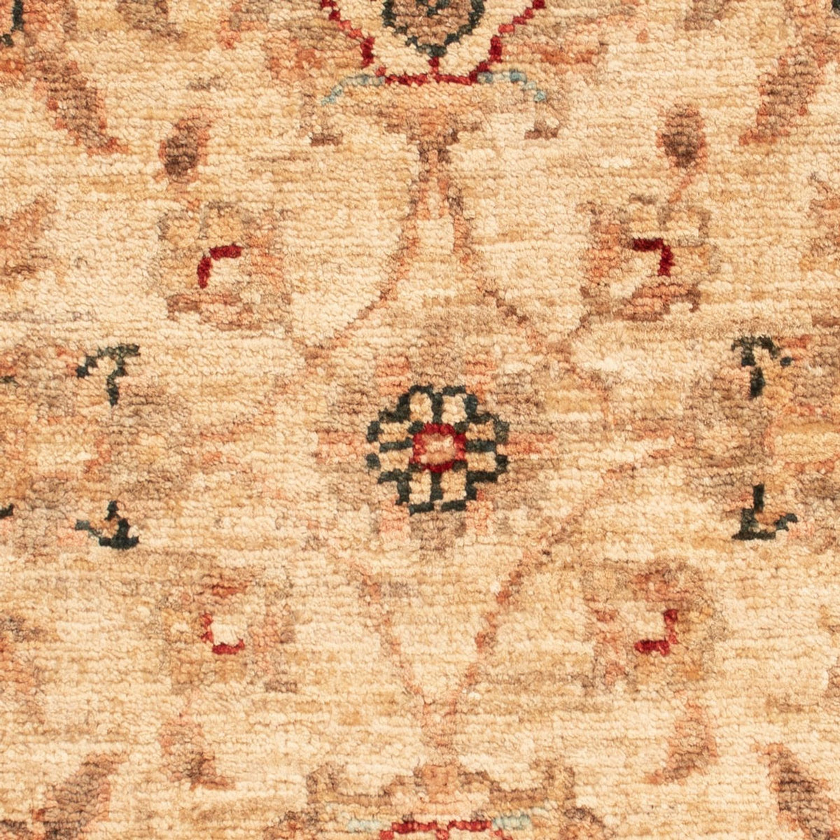 Ziegler Carpet - 66 x 52 cm - beige