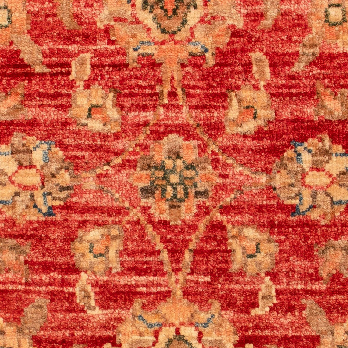 Ziegler Carpet - 74 x 52 cm - rød