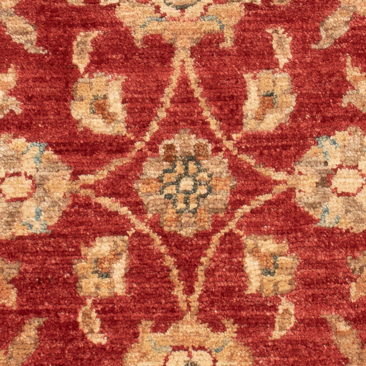 Ziegler Carpet - 71 x 52 cm - rød