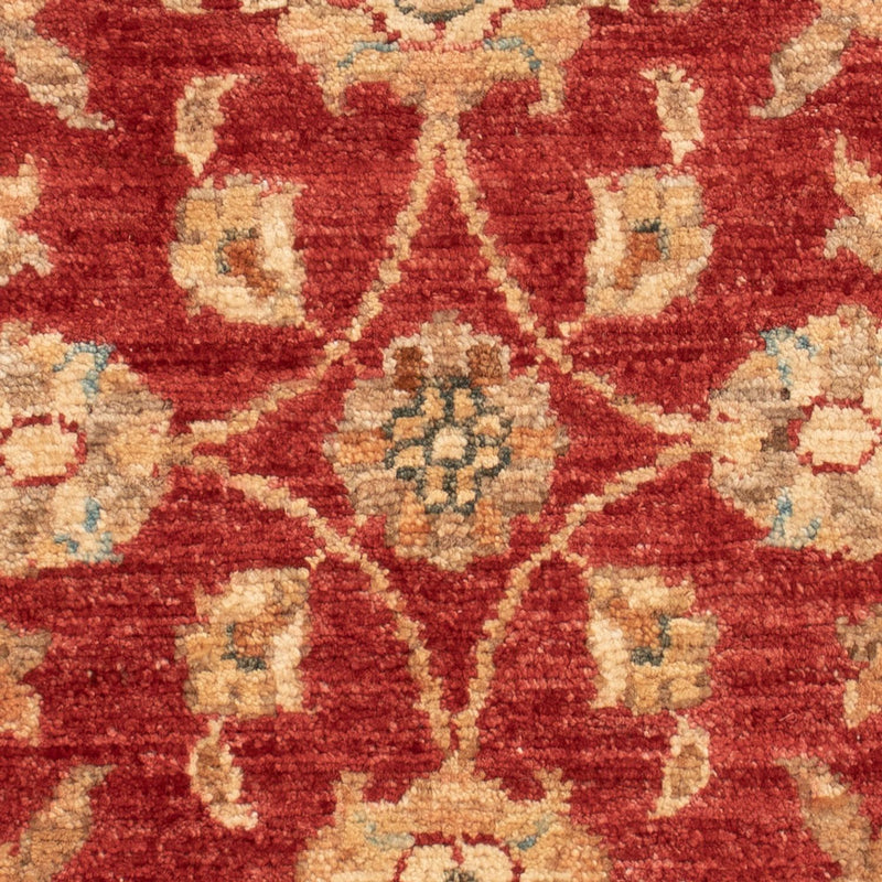 Ziegler Carpet - 71 x 52 cm - rød