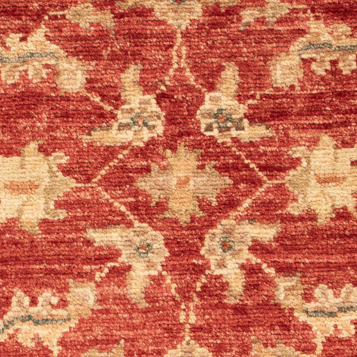 Ziegler Carpet - 71 x 55 cm - rød