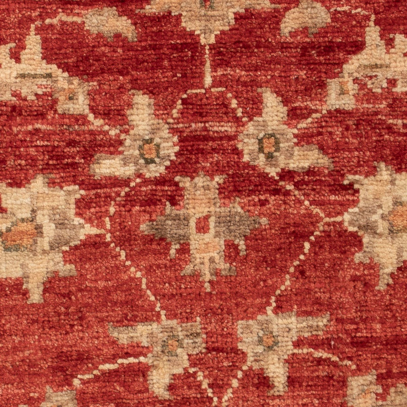 Ziegler Carpet - 69 x 52 cm - rød