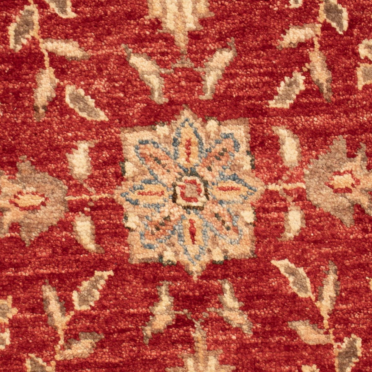 Ziegler Carpet - 70 x 52 cm - rød
