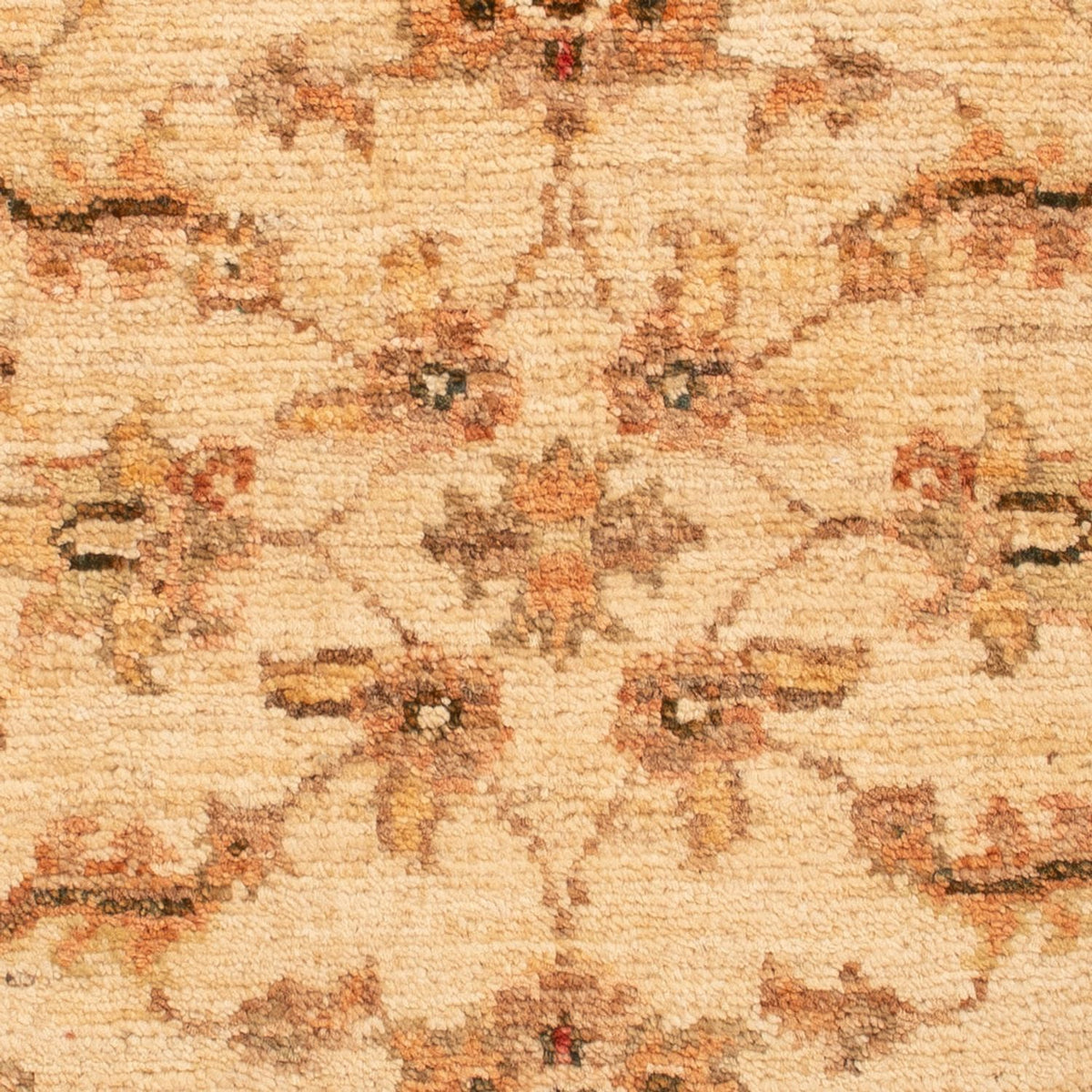 Ziegler Carpet - 65 x 50 cm - beige