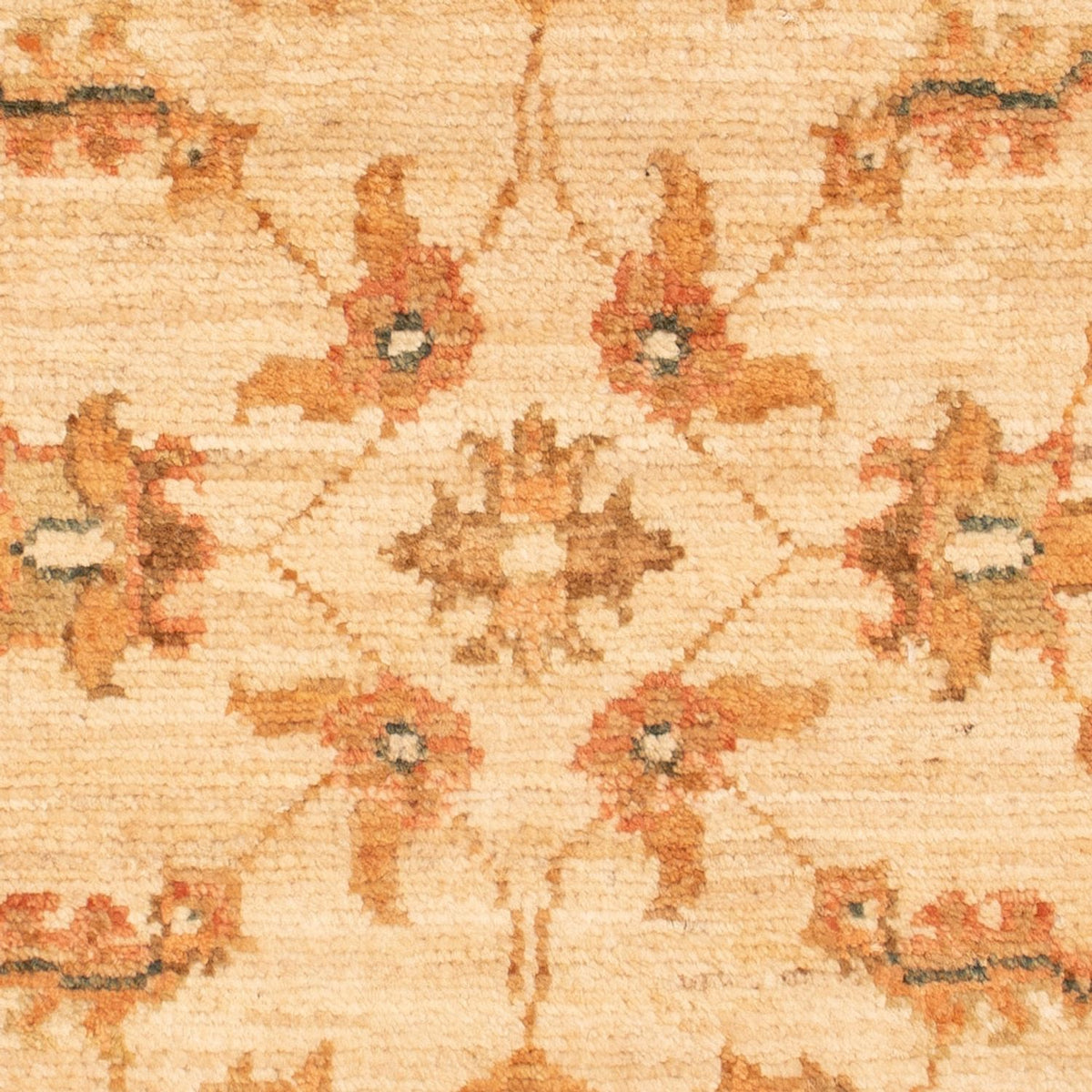 Ziegler Carpet - 72 x 51 cm - beige