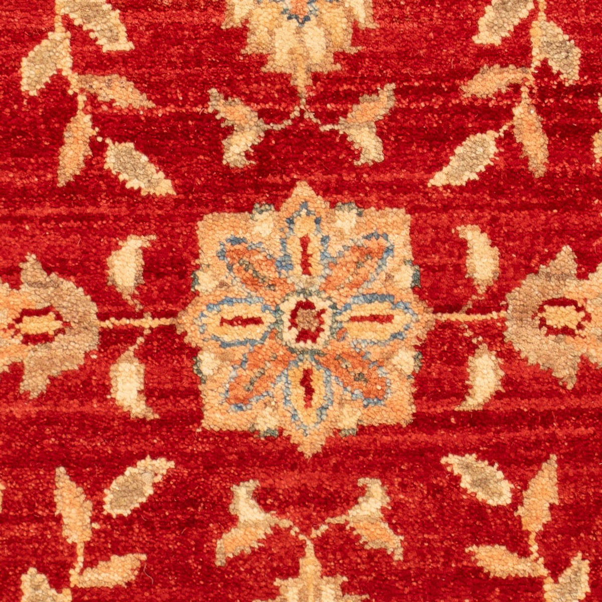 Ziegler Carpet - 70 x 51 cm - rød