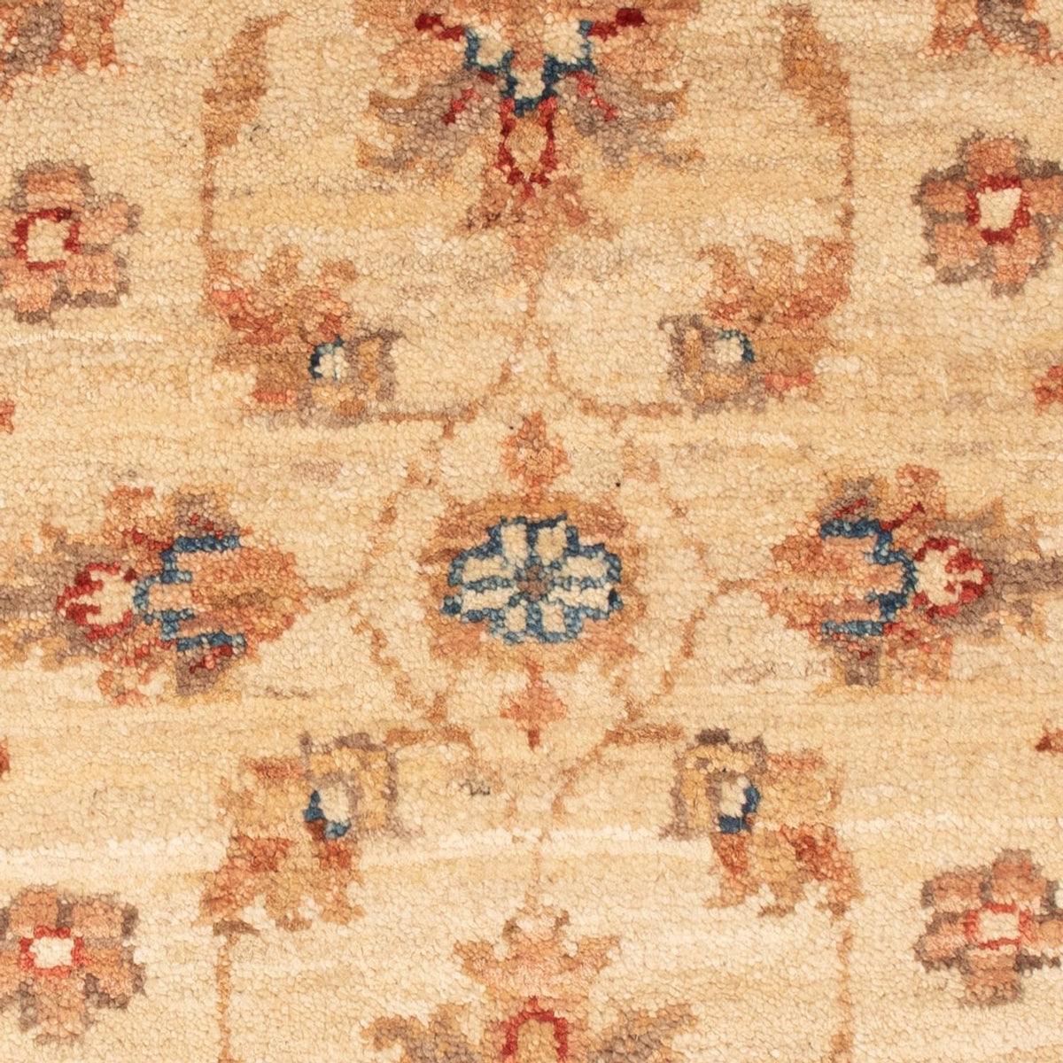 Ziegler Carpet - 70 x 51 cm - beige