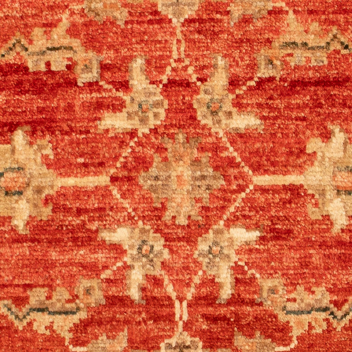 Ziegler Carpet - 66 x 53 cm - rød
