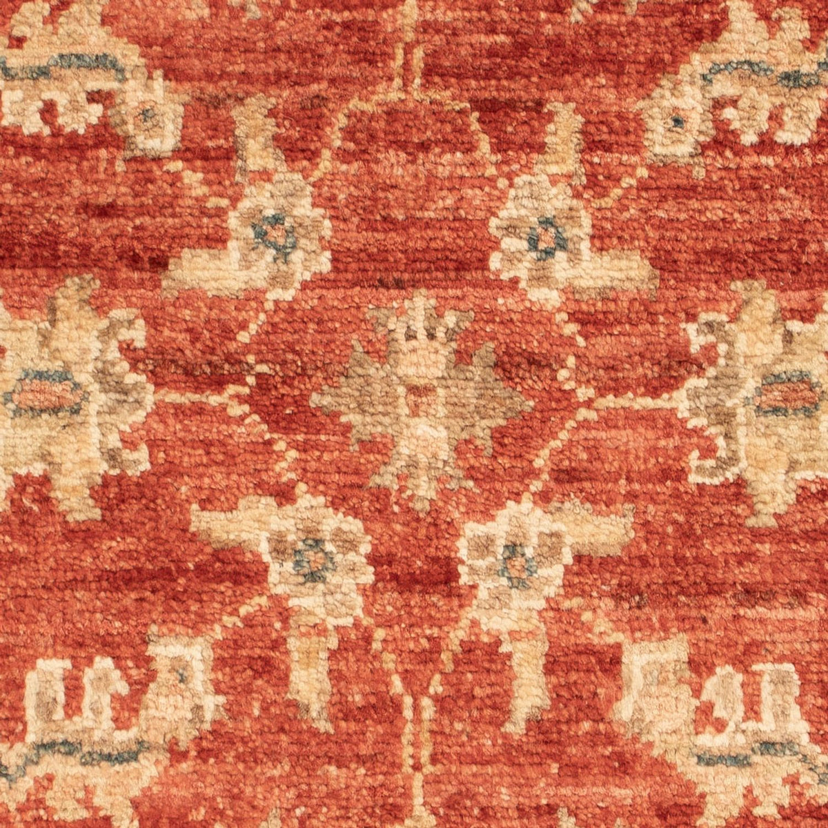 Ziegler Carpet - 68 x 51 cm - rød