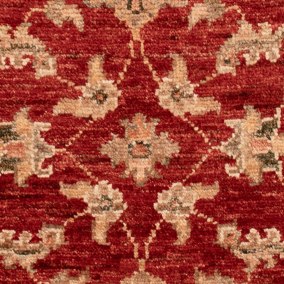 Ziegler Carpet - 73 x 55 cm - rød