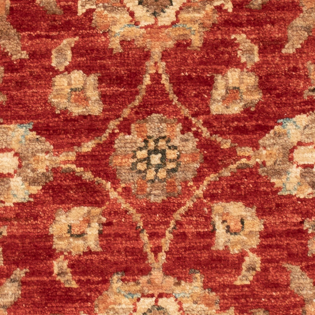 Ziegler Carpet - 66 x 52 cm - rust