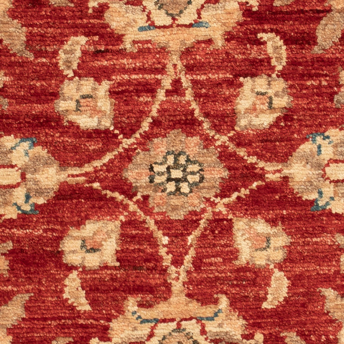 Ziegler Carpet - 66 x 52 cm - rust