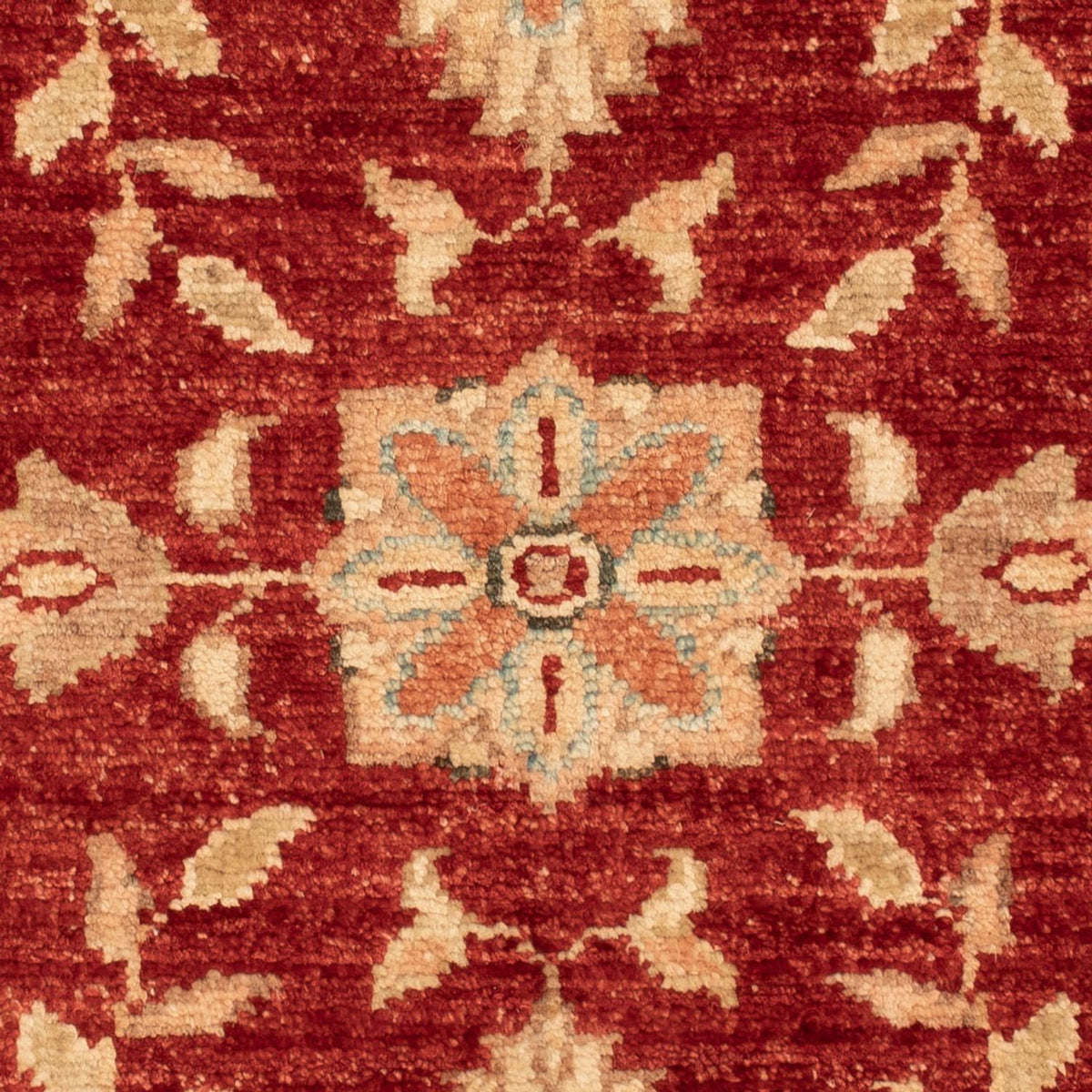 Ziegler Carpet - 69 x 52 cm - bordeaux rød