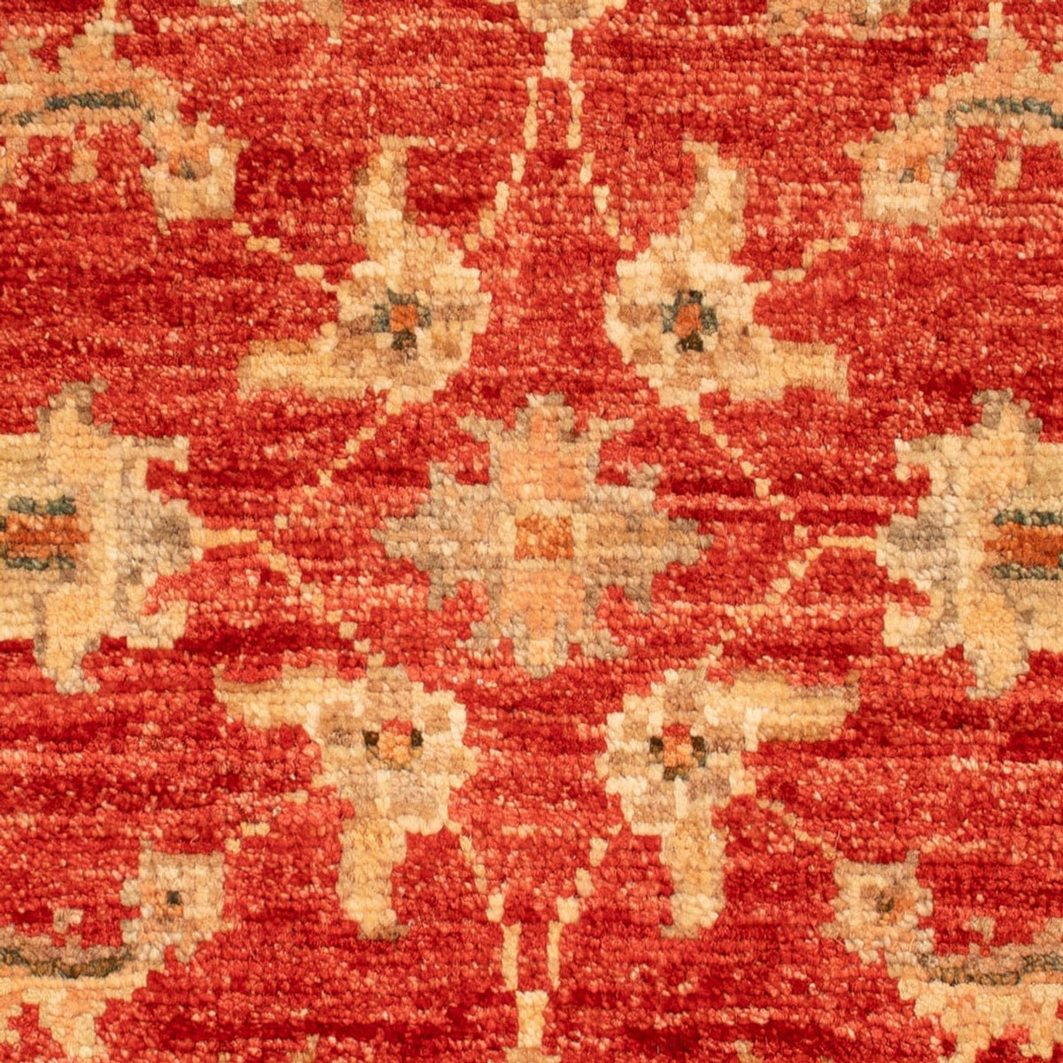 Ziegler Carpet - 70 x 56 cm - rød