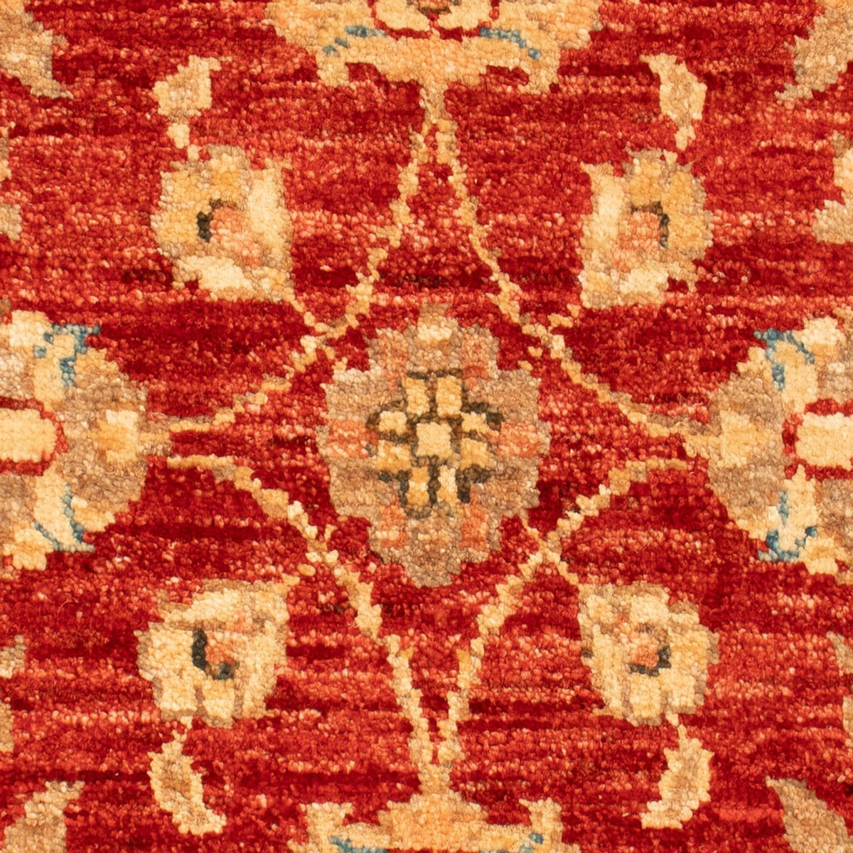 Ziegler Carpet - 65 x 53 cm - rød