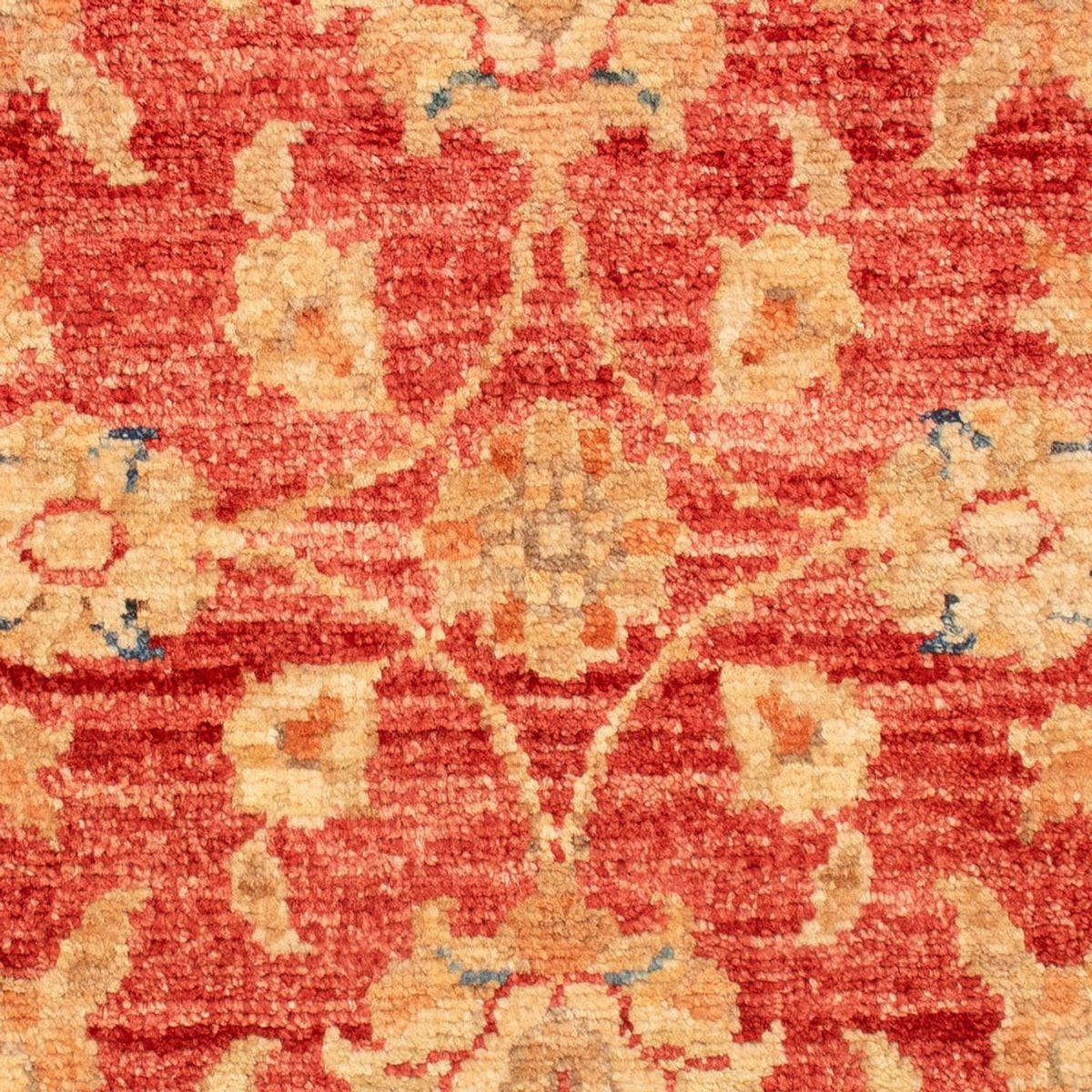 Ziegler Carpet - 72 x 52 cm - rød
