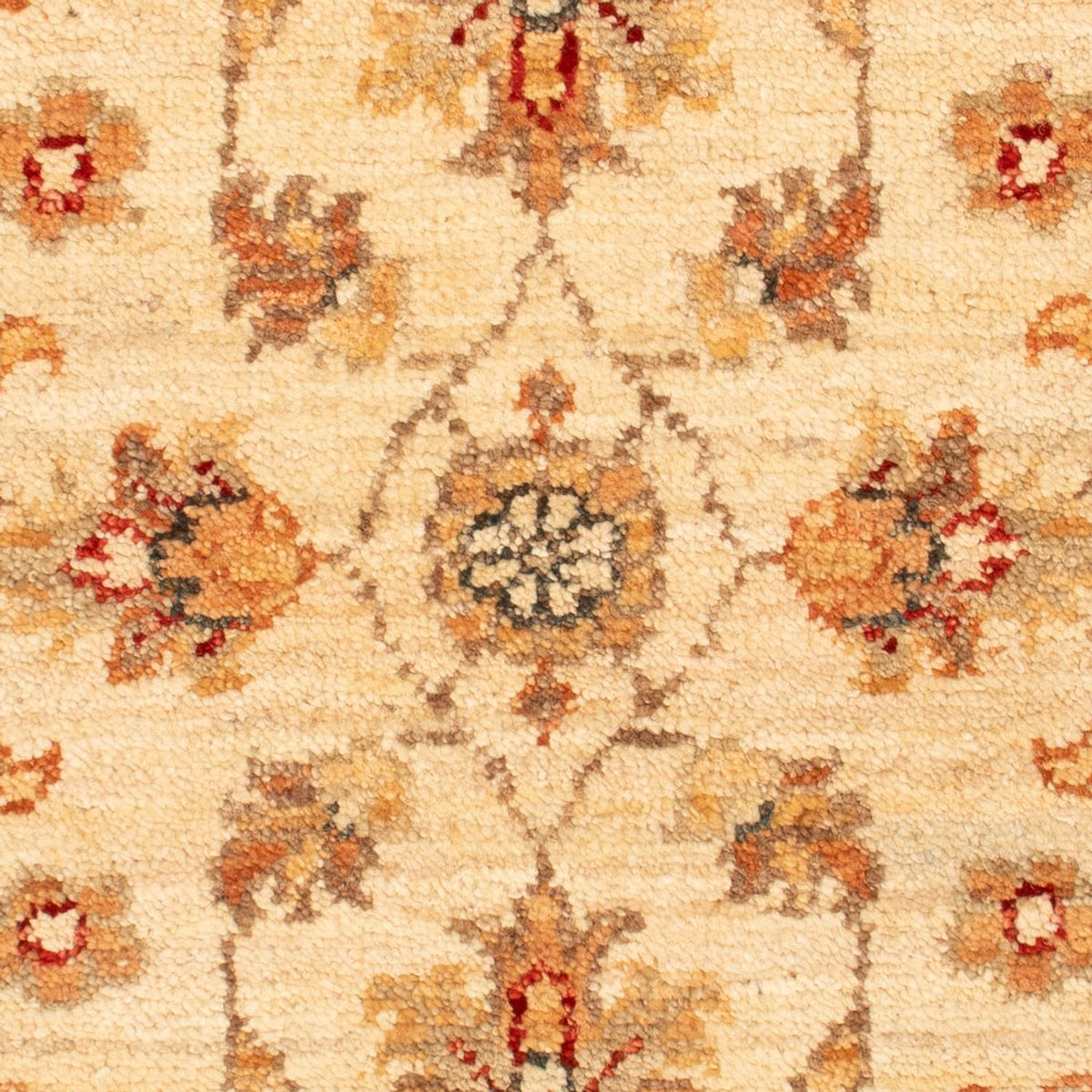 Ziegler Carpet - 74 x 50 cm - beige