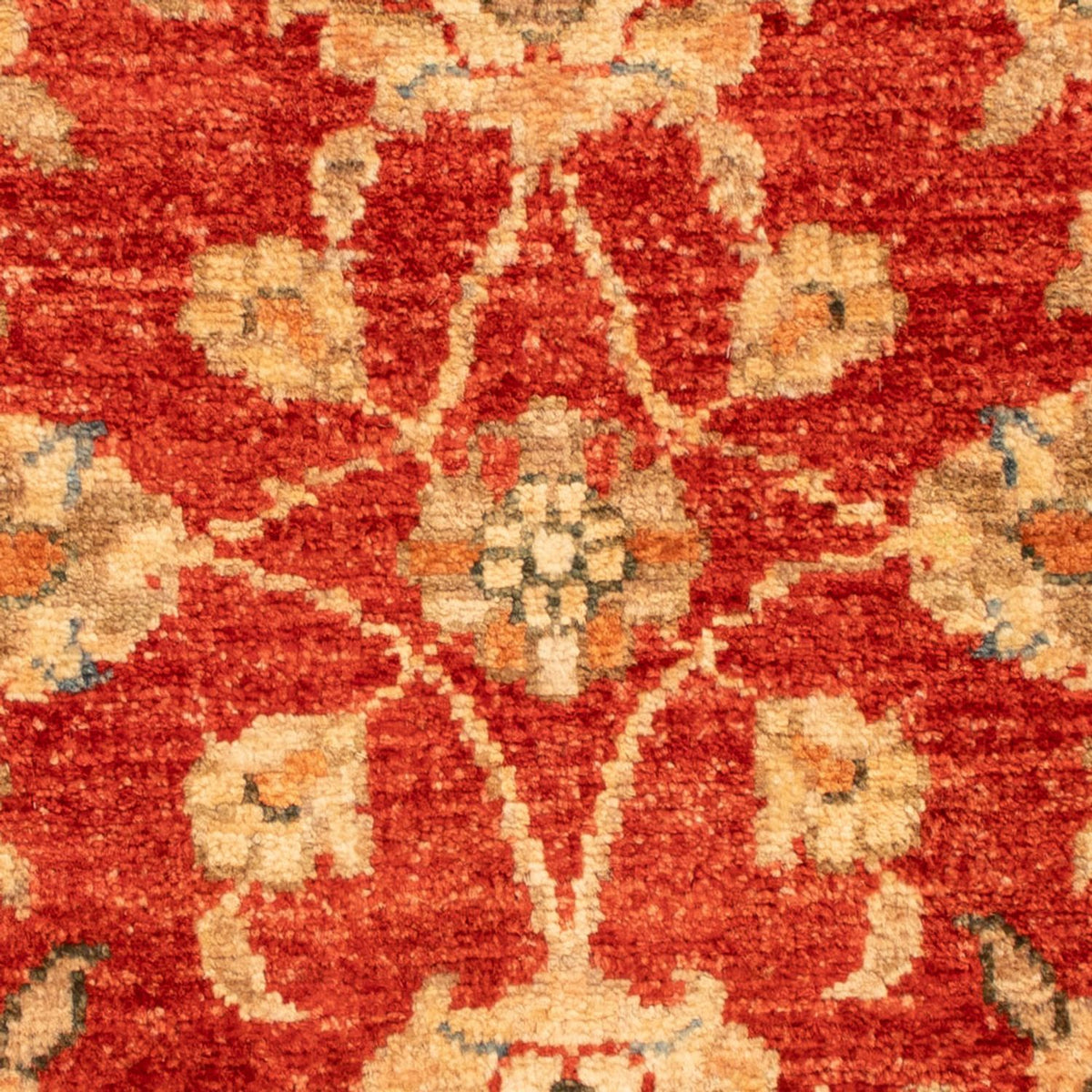 Ziegler Carpet - 67 x 52 cm - rød