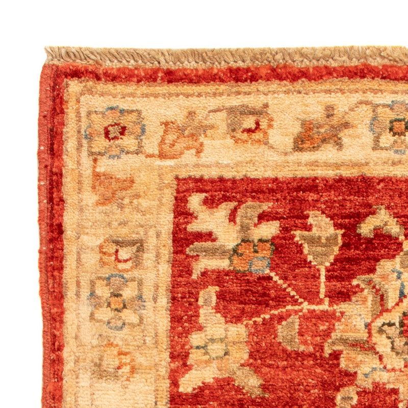 Ziegler Carpet - 67 x 52 cm - rød