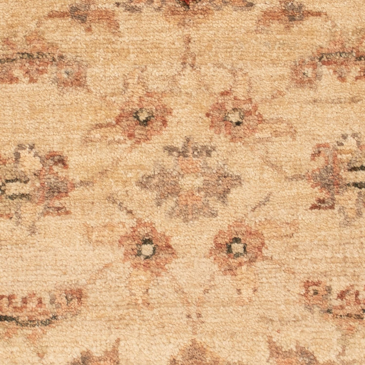 Ziegler Carpet - 65 x 51 cm - beige