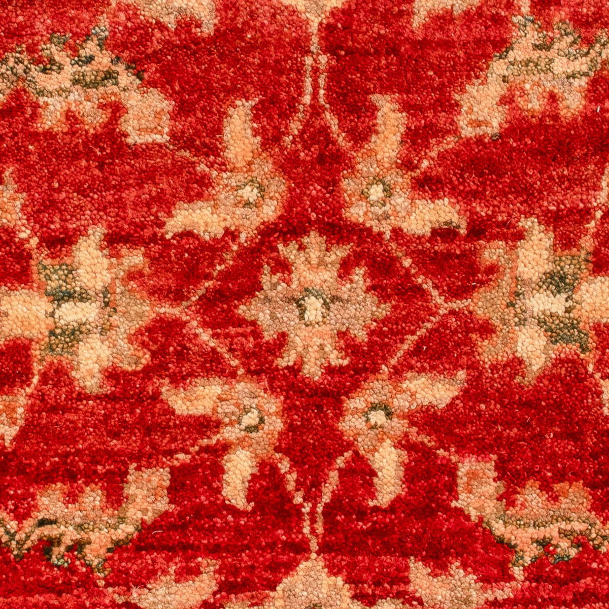 Ziegler Carpet - 70 x 53 cm - rød