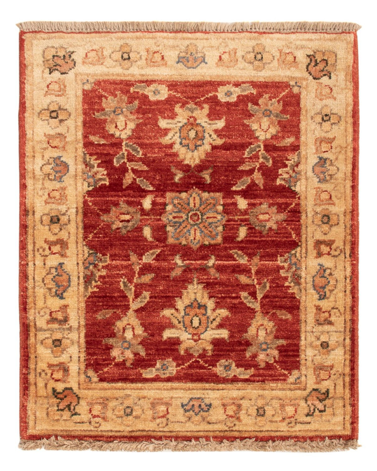 Ziegler Carpet - 63 x 52 cm - rød