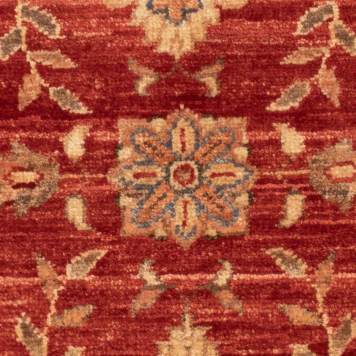 Ziegler Carpet - 63 x 52 cm - rød