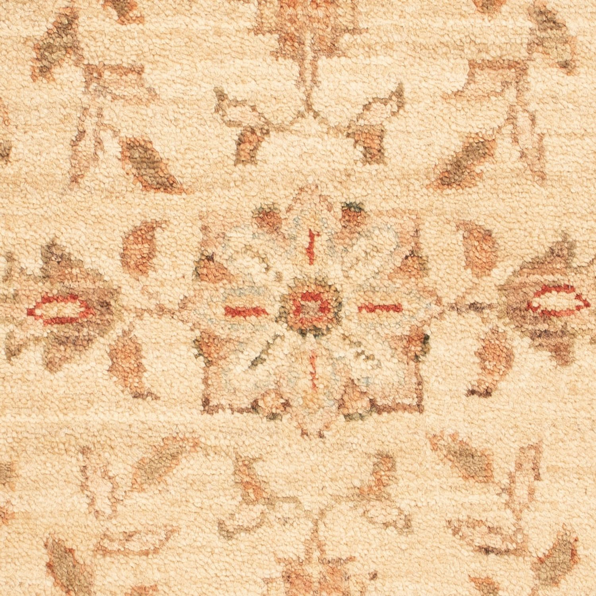 Ziegler Carpet - 70 x 50 cm - beige