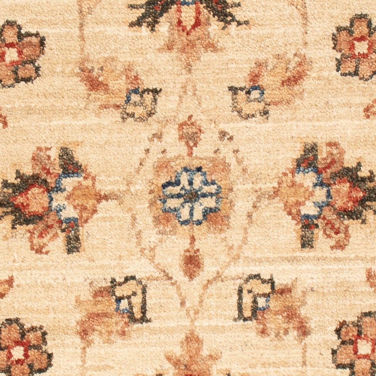Ziegler Carpet - 66 x 50 cm - beige