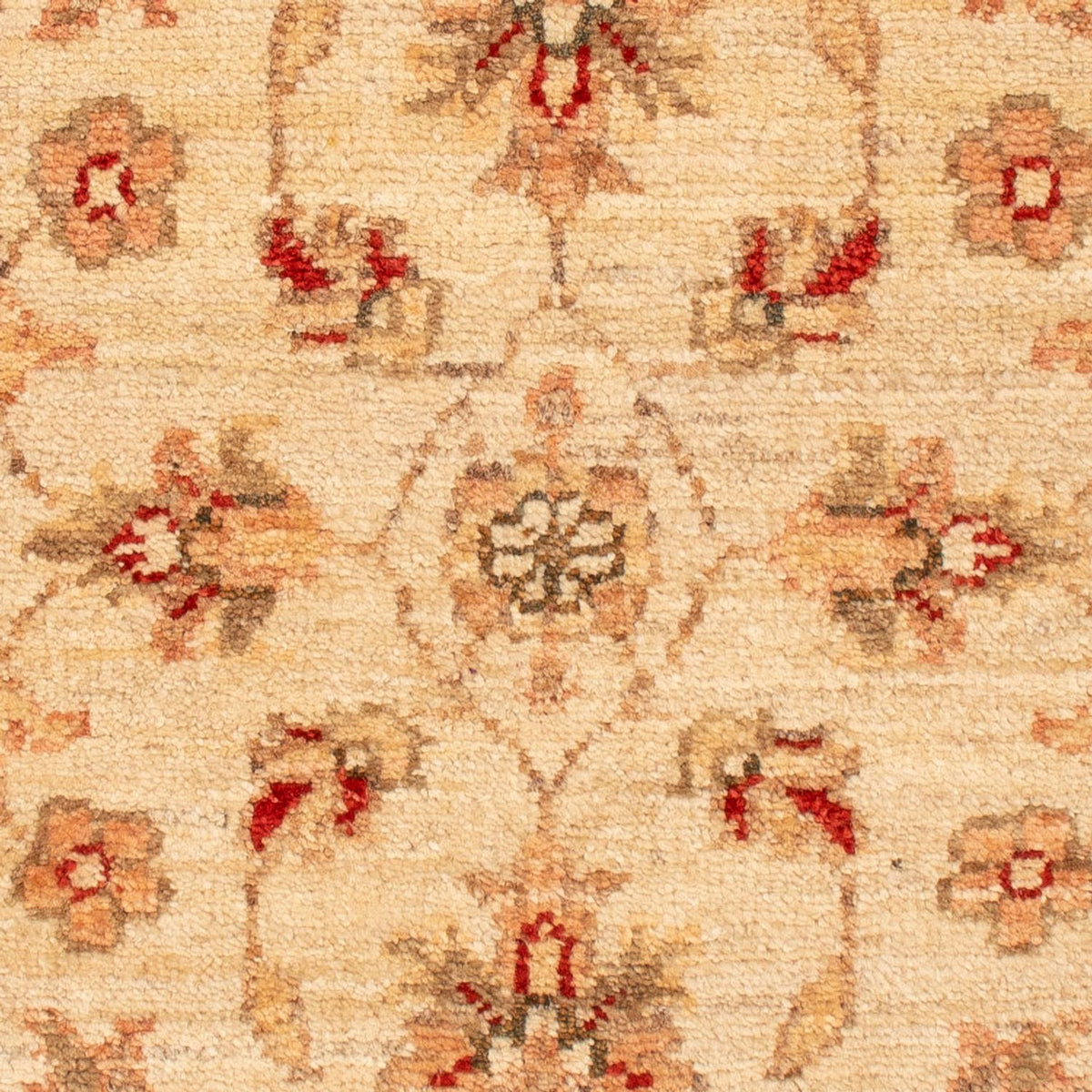 Ziegler Carpet - 70 x 50 cm - beige