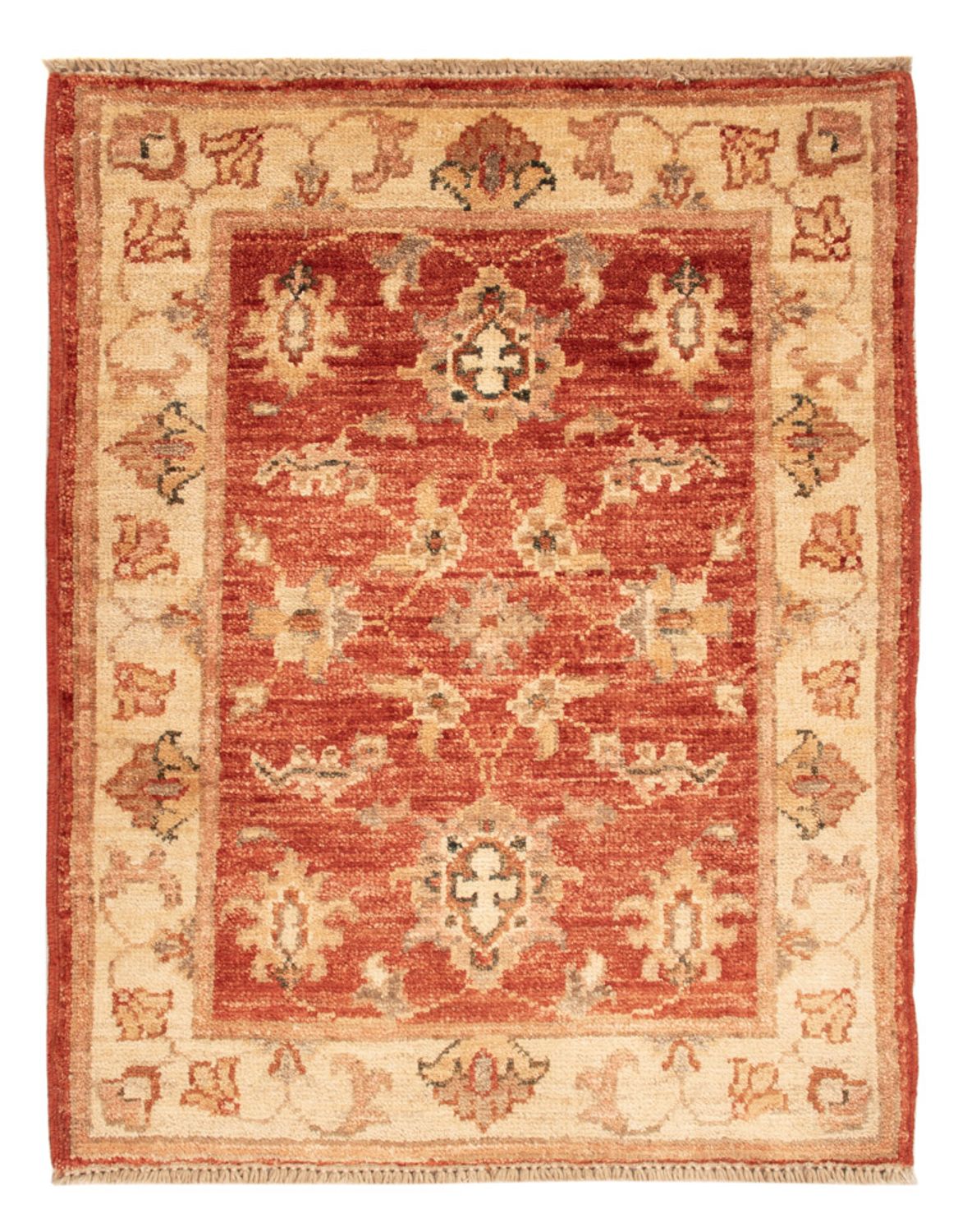 Ziegler Carpet - 70 x 53 cm - rød