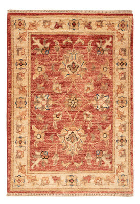 Ziegler Carpet - 72 x 50 cm - rust