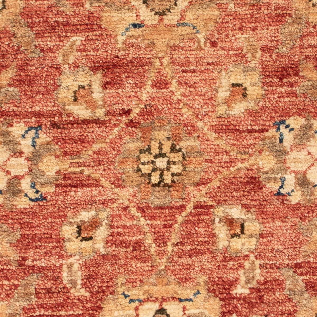 Ziegler Carpet - 72 x 50 cm - rust