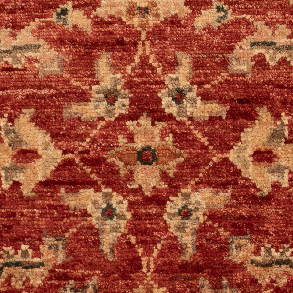 Ziegler Carpet - 70 x 50 cm - rød