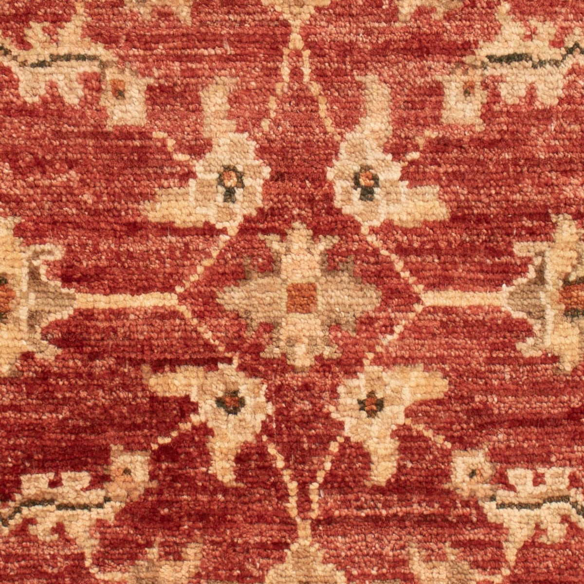 Ziegler Carpet - 67 x 53 cm - rød