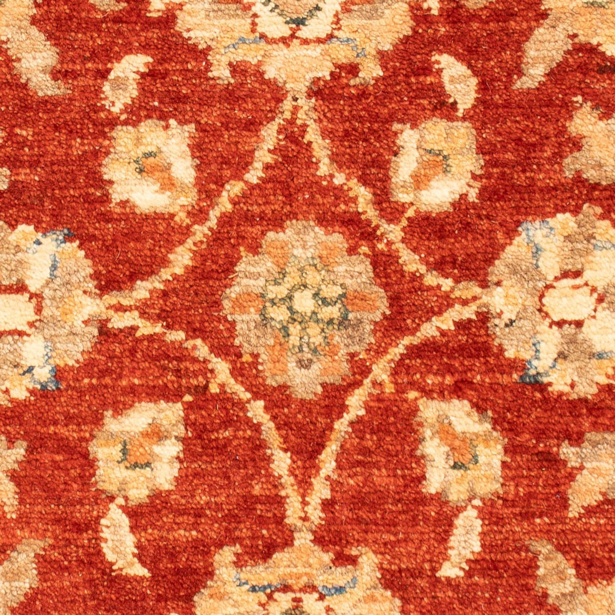 Ziegler Carpet - 68 x 50 cm - rød