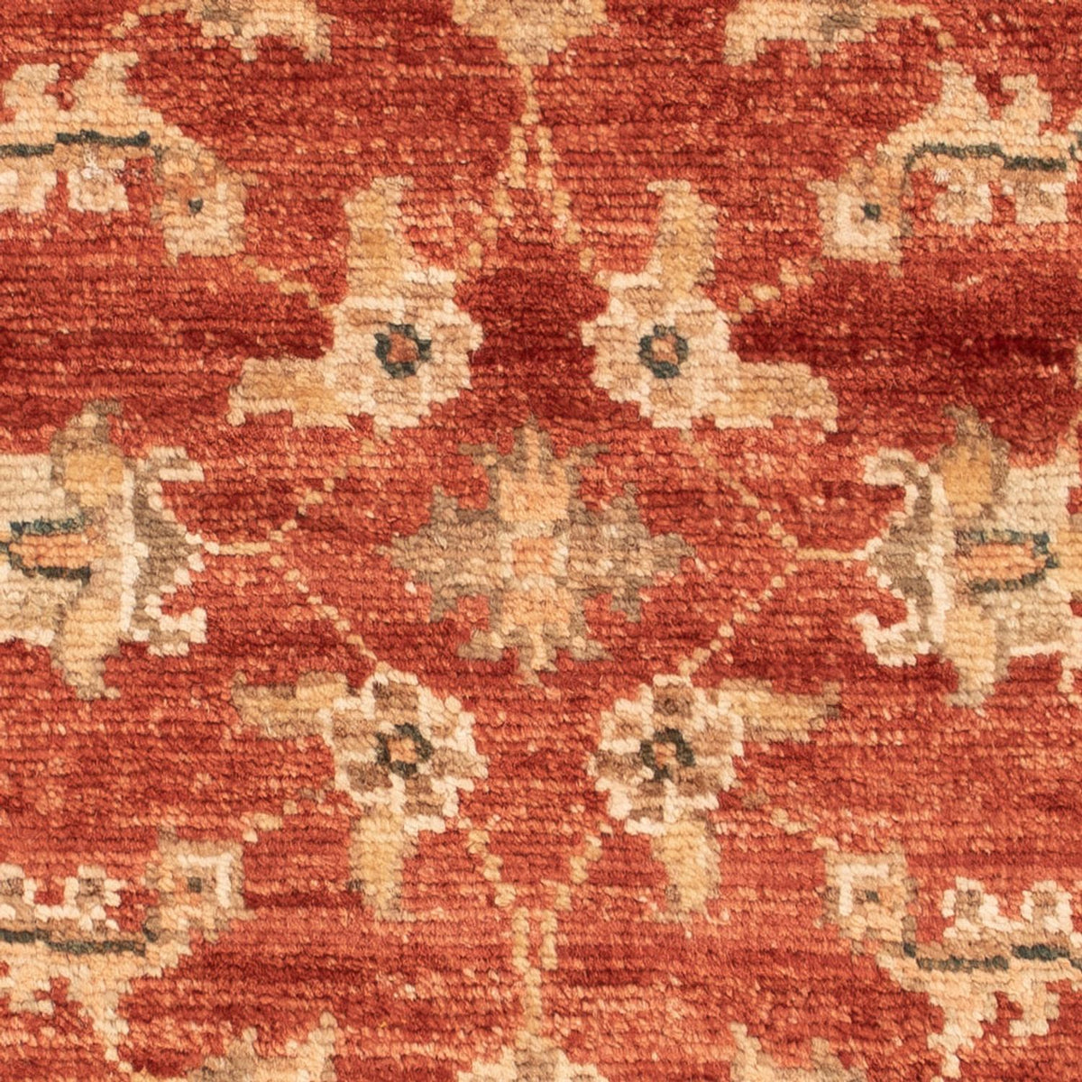 Ziegler Carpet - 70 x 50 cm - rust