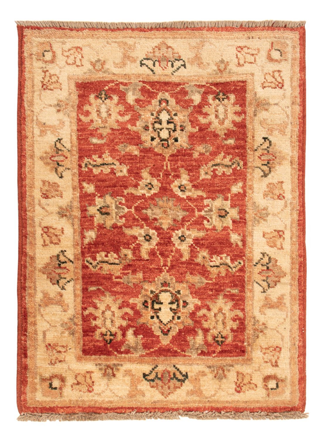 Ziegler Carpet - 66 x 47 cm - rød