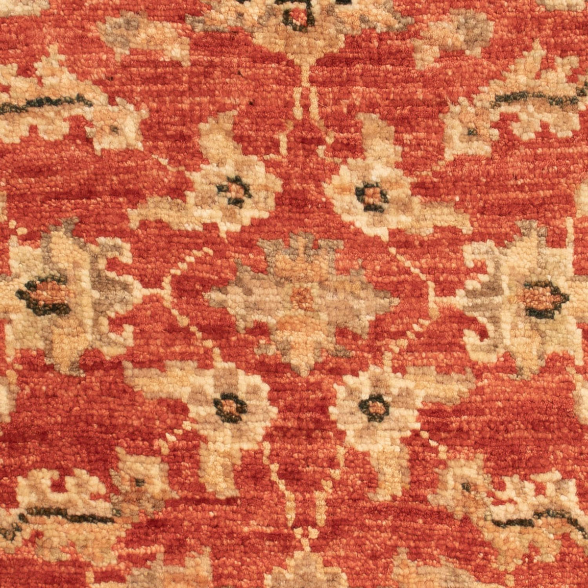 Ziegler Carpet - 66 x 47 cm - rød