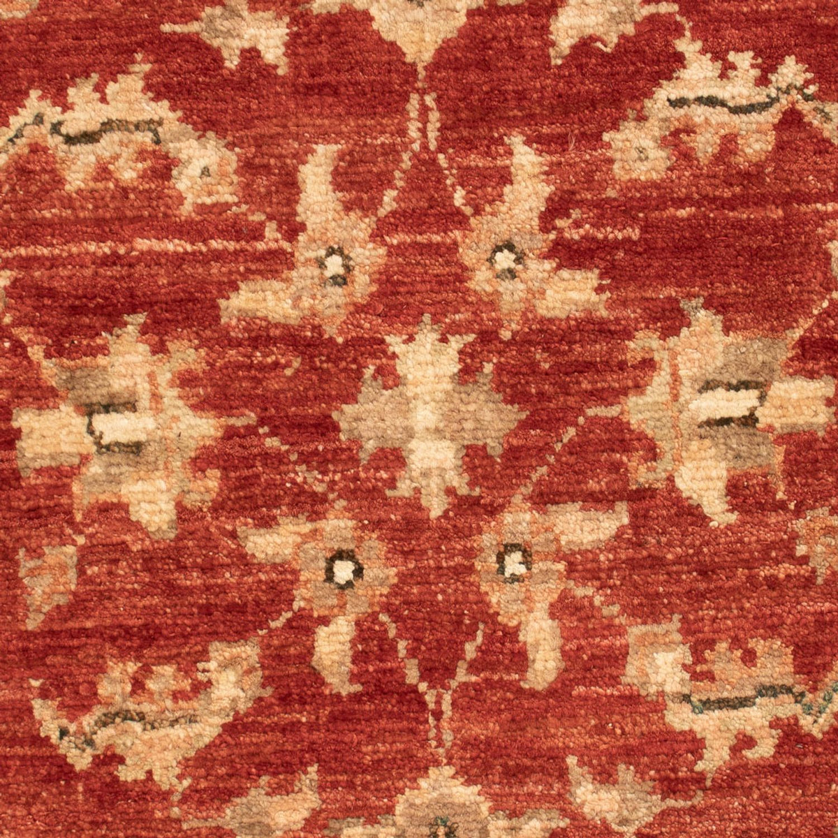 Ziegler Carpet - 74 x 54 cm - rød