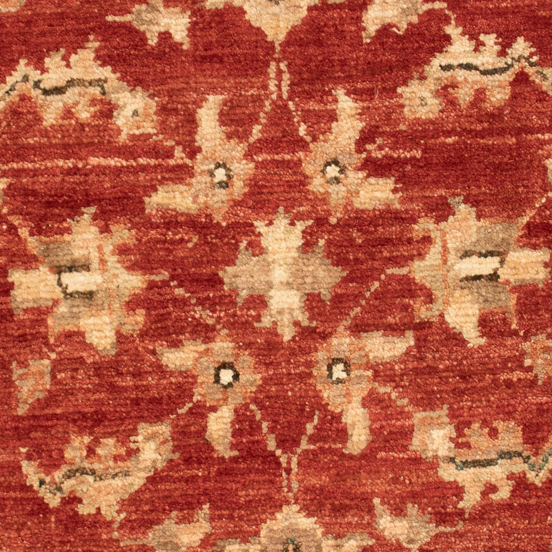 Ziegler Carpet - 74 x 54 cm - rød
