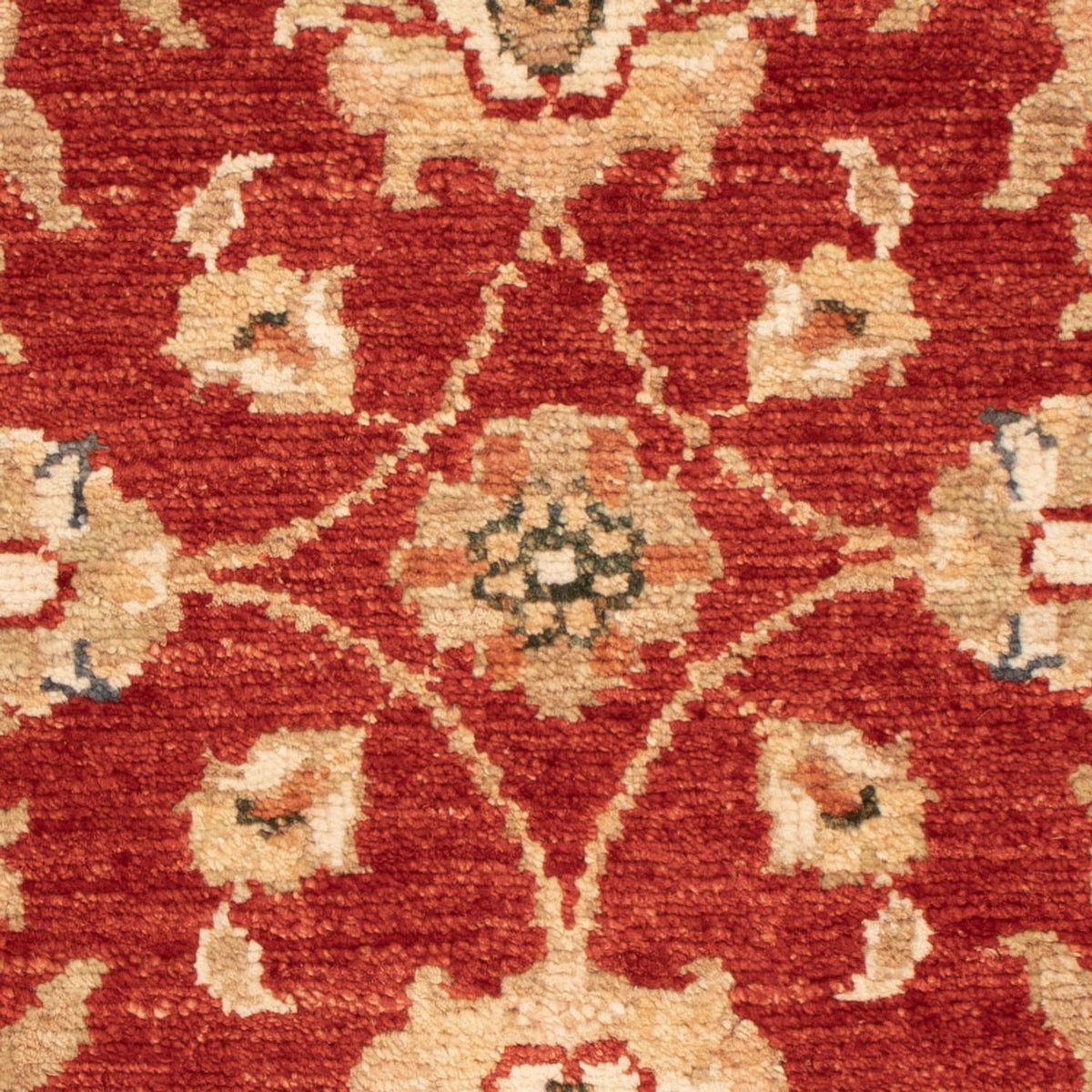 Ziegler Carpet - 68 x 49 cm - rød