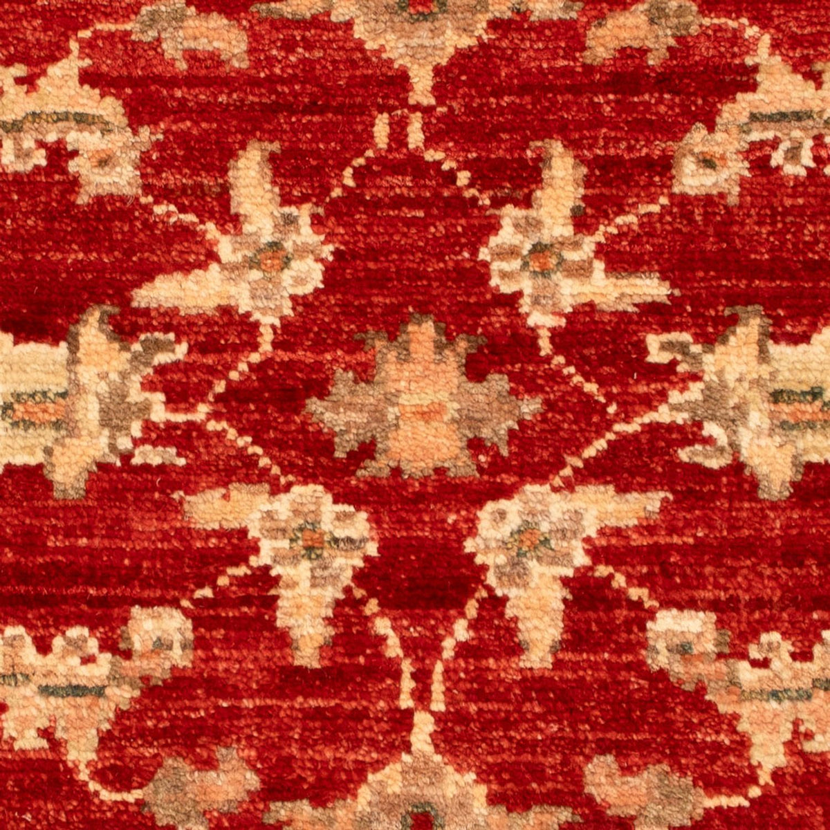 Ziegler Carpet - 68 x 51 cm - rød