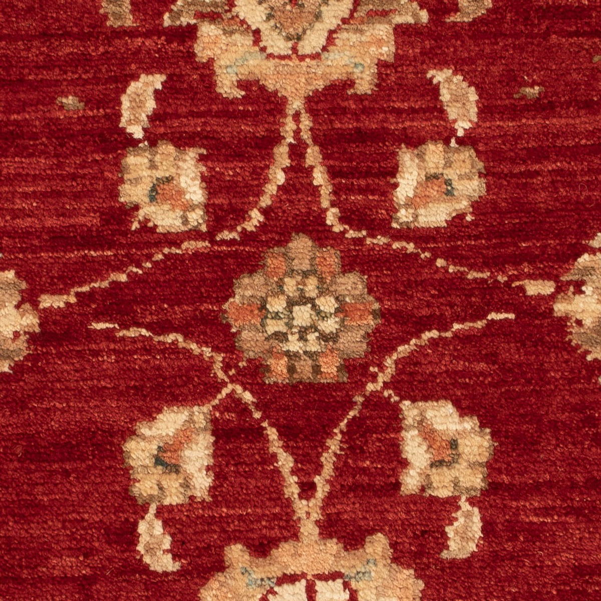 Ziegler Carpet - 70 x 54 cm - bordeaux rød