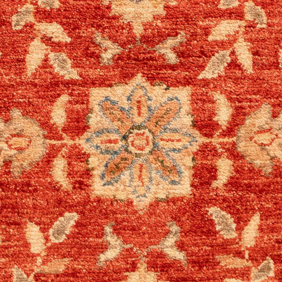 Ziegler Carpet - 70 x 50 cm - rød
